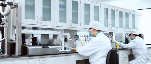 國際領先 合源生物以細胞治療技術(shù)打造國家名片