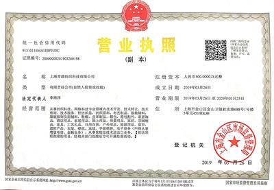 證照信息深度解讀 上海信息咨詢公司的合規之道
