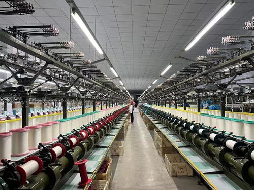 用好 數(shù)字化出海口 山東周村絲綢通過阿里國際站出海全球50多國