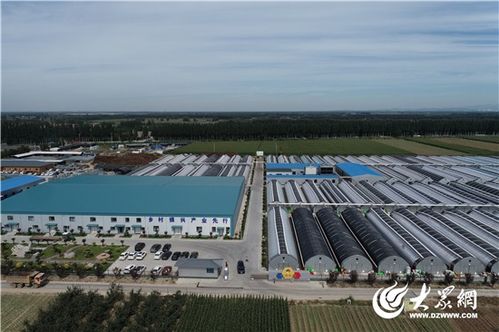 鎮(zhèn) 興路上 產(chǎn)業(yè)興,特色濃,文旅融 淄博強(qiáng)鎮(zhèn)出擊